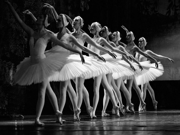 Anonymous, Swan Lake ballet