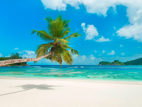 Anonymous, Tropical beach, Seychelles (detail)