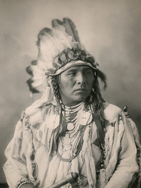 Anonymous, Spotted Jack Rabbit, Crow, 1898