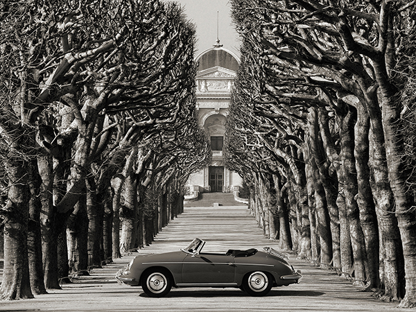 Gasoline Images, Roadster in tree lined road, Paris (BW)