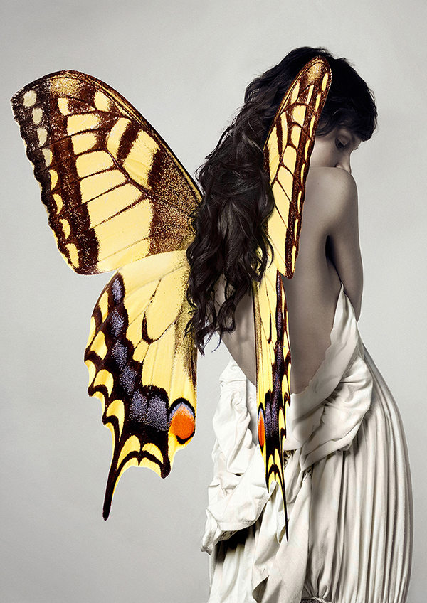 Julian Lauren, Winged Beauty #3