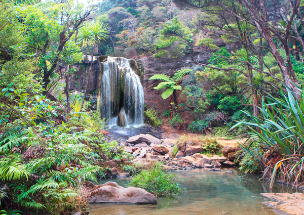 Pangea Images, Rainforest waterfall (detail)