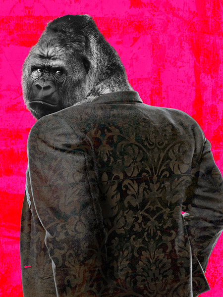 VizLab, Ape in a Suit (Pop Version)