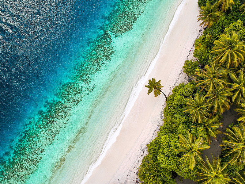 Pangea Images, Tropical Beach, Aerial View
