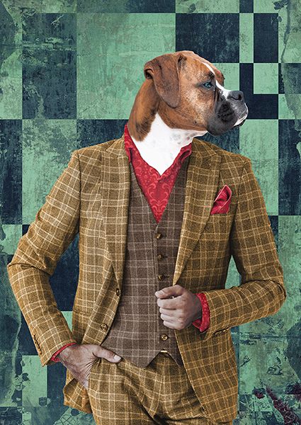 VizLab, Gentleman #1