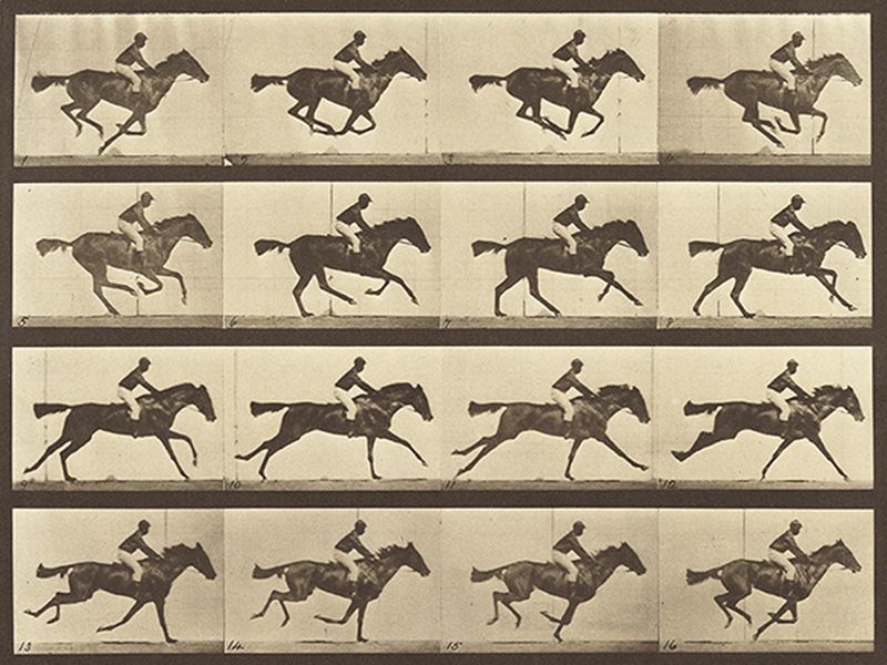 Muybridge Eadweard, Animal Locomotion: Running Horse
