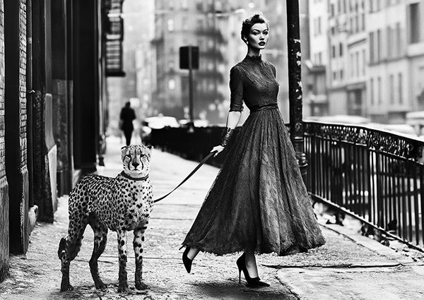 Haute Photo Collection, Walking the pet in London, 1950