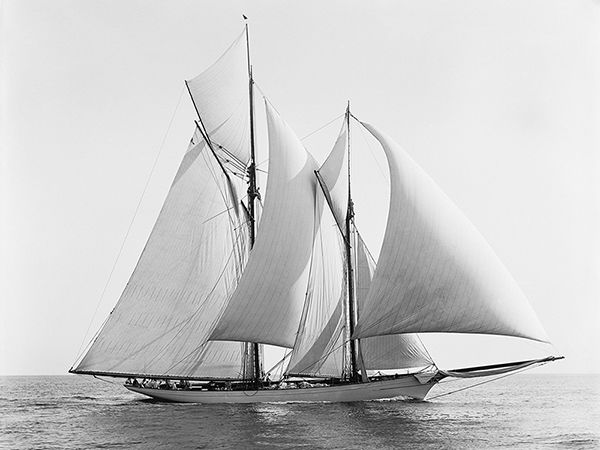 Anonymous, Merlin, 1892