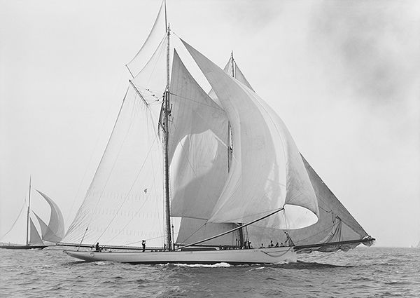 Anonymous, Mayflower, Goelet Cup Race, August 7, 1891
