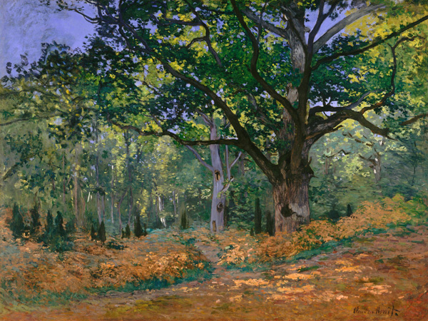 Claude Monet, The Bodmer Oak, Fontainebleau Forest