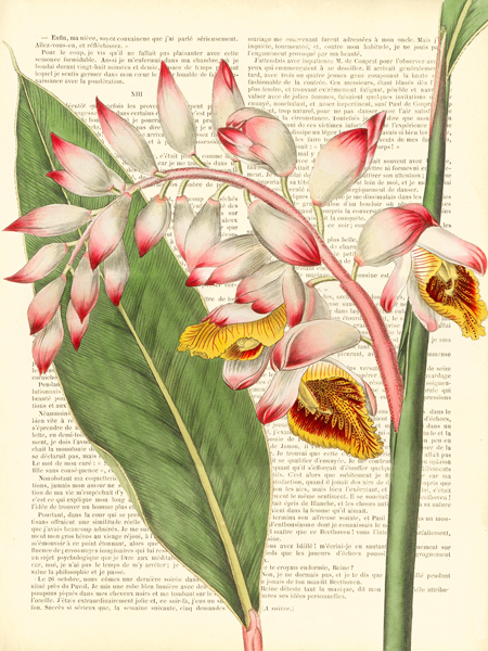 Remy Dellal, Vintage Botany II
