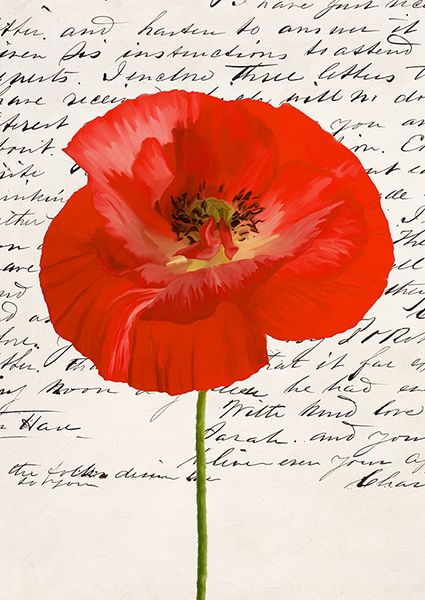 Elena Dolci, Poppy I