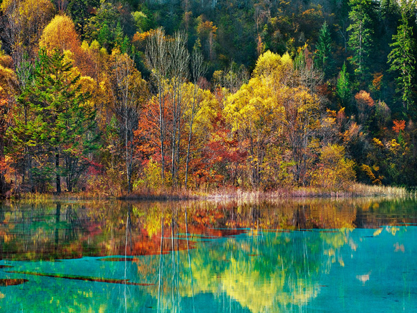 Frank Krahmer, Forest in autumn colours, Sichuan, China