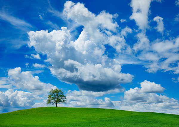 Frank Krahmer, Oak and clouds, Bavaria, Germany
