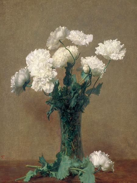 Henri Fantin-Latour, White Poppies