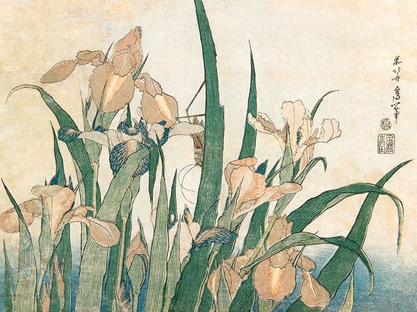 Katsushika Hokusai, Irises and Grasshopper, 1833-1834