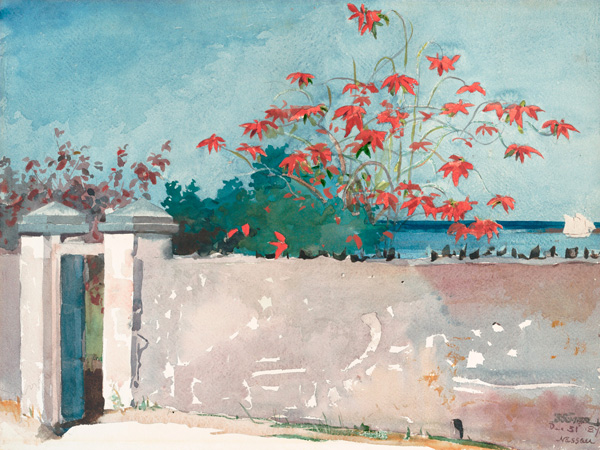 Winslow Homer, A Wall, Nassau