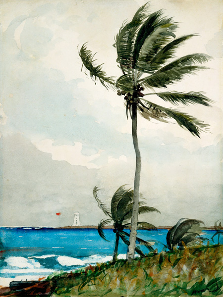 Winslow Homer, Palm Tree, Nassau