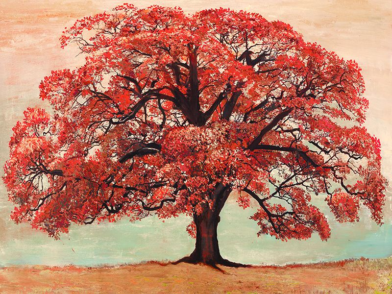 Jan Eelder, Red Oak