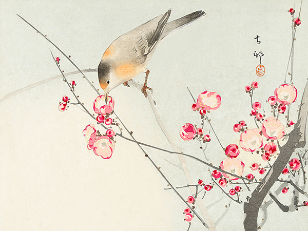 Ohara Koson, Songbird on blossom Branch