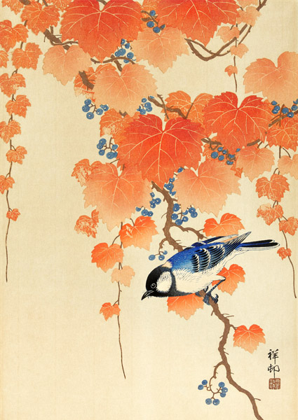 Ohara Koson, Great tit on paulownia branch