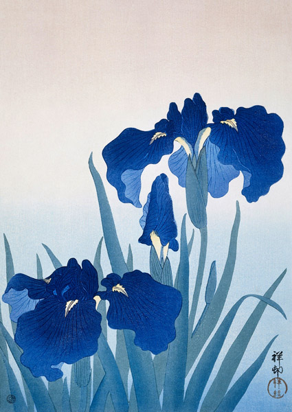 Ohara Koson, Iris flowers