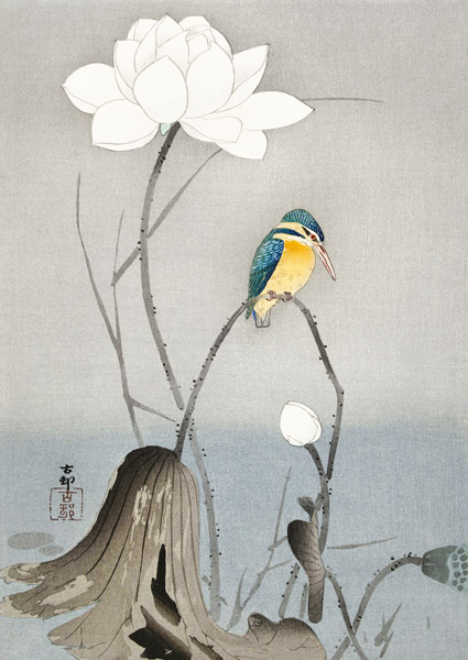 Ohara Koson, Kingfisher with Lotus Flower