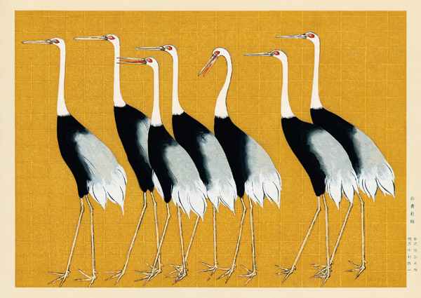 Ogata Korin, Flock of Japanese red crown cranes