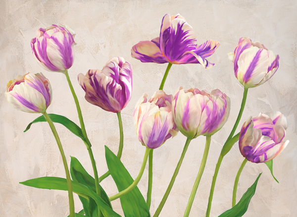Jenny Thomlinson, Tulipes