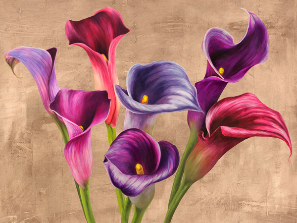 Jenny Thomlinson, Multi-colored Callas