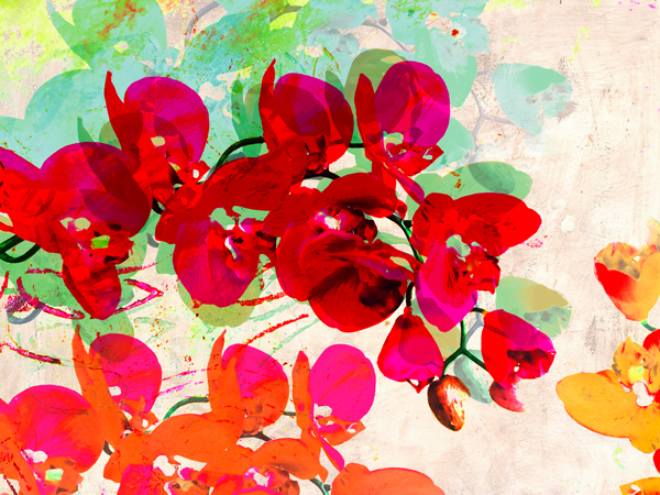 Kelly Parr, Orchidreams