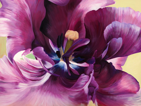 Luca Villa, Purple tulip close-up