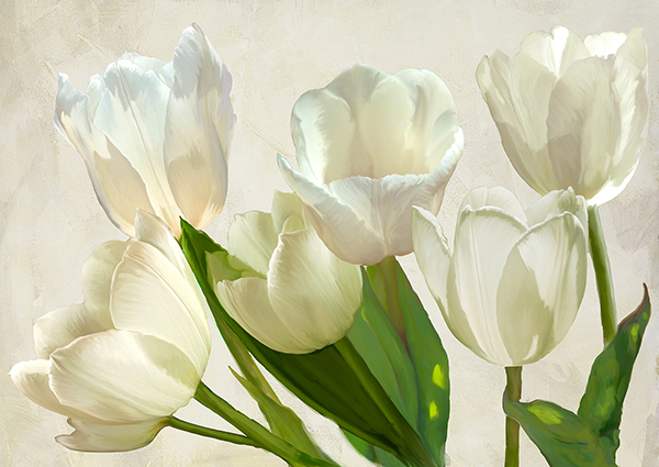 Luca Villa, White Tulips