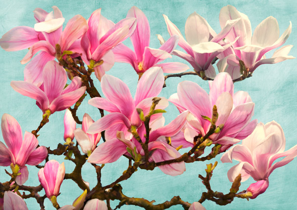 Luca Villa, Magnolia Branch (turquoise)