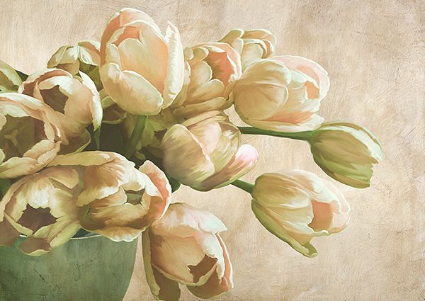 Luca Villa, Modern Tulips