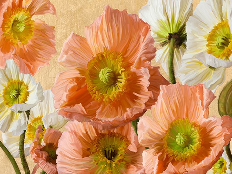 Villa Luca, Poppies Of Gold