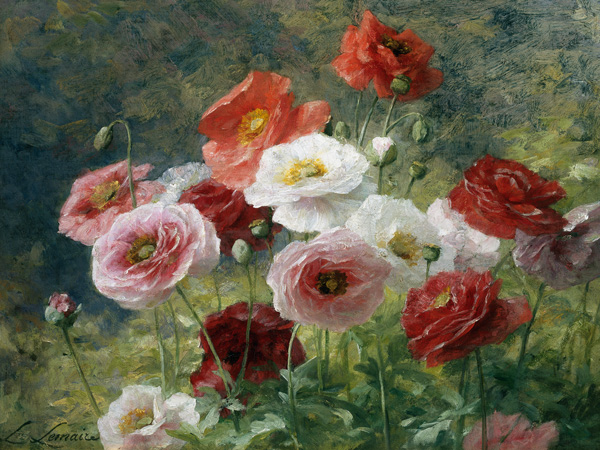 Louis Marie Lemaire, Poppies