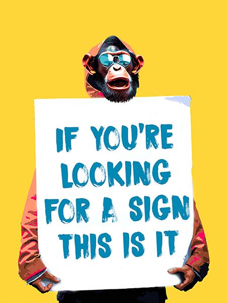 Masterfunk Collective, Truthful Meme I