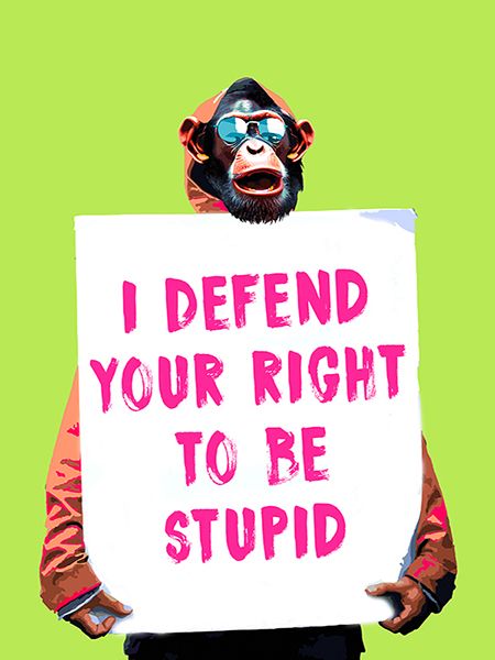 Masterfunk Collective, Truthful Meme II