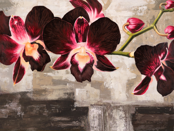 Shin Mills, Velvet Orchids
