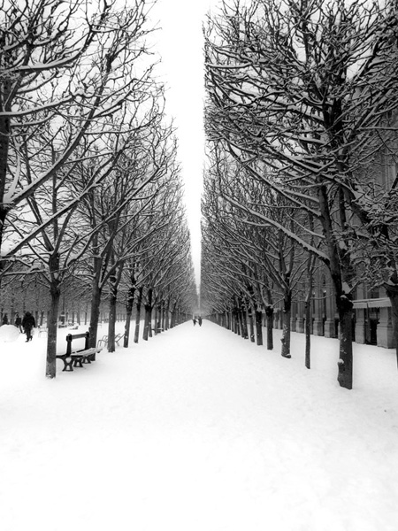 Michel Setboun, The Tuileries Garden under the snow, Paris