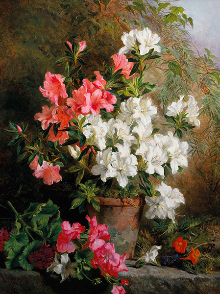 Annie Feray Mutrie, Still Life of Azaleas