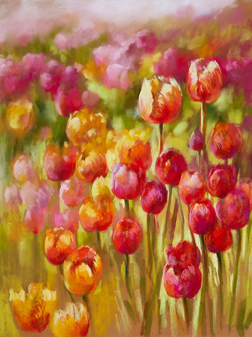 Nel Whatmore, Tulip Sea