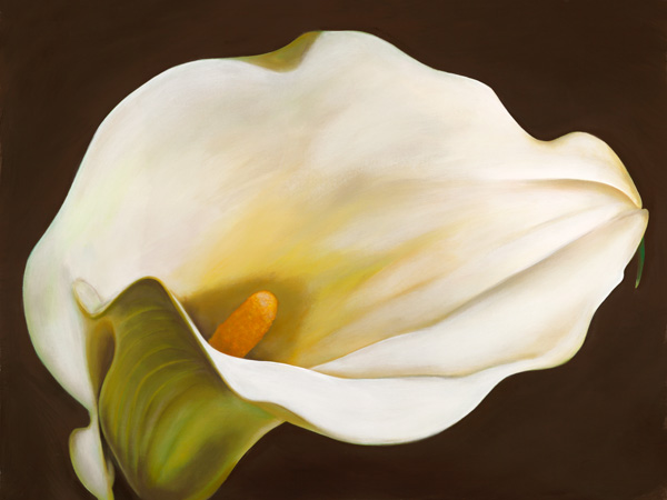 Serena Biffi, Calla