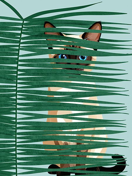 Hill Steven, Hide'n'Seek