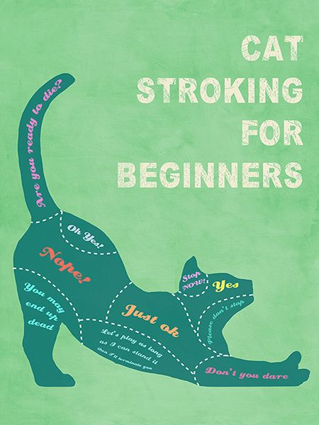 Hill Steven, Cat Stroking for Beginners (color)