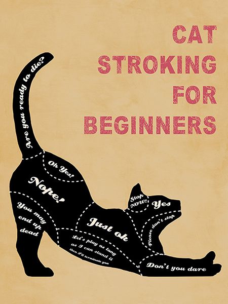 Hill Steven, Cat Stroking for Beginners (neutral)