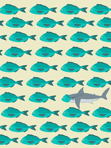 Hill Steven, Blue Fish
