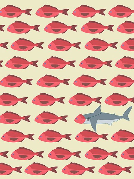 Hill Steven, Red Fish