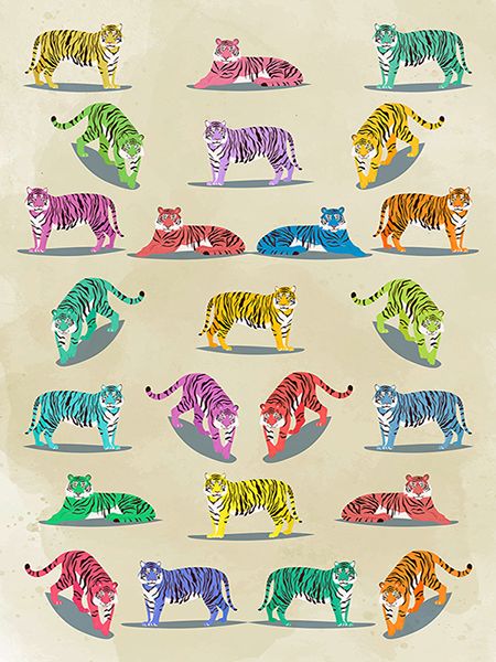 Hill Steven, Wildlife pattern II (multicolor)